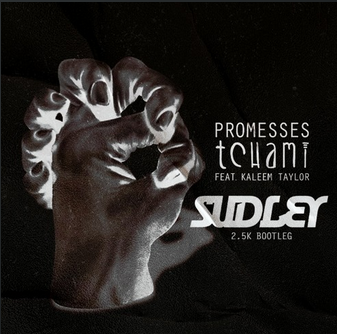 Tchami – Promesses (Sudley Bootleg) (2.5k Free Download)