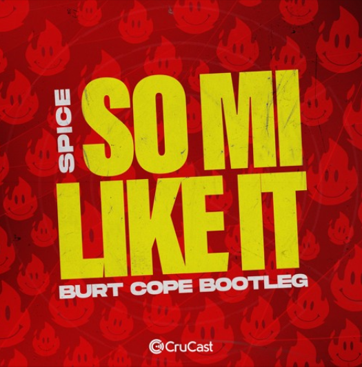 Spice – So Mi Like It (Burt Cope Bootleg)